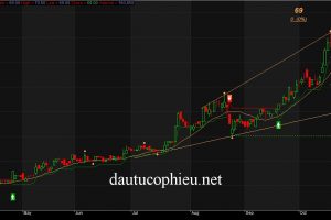 PTKT cổ phiếu VSC ngày 20/10/2015