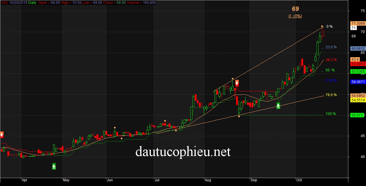 PTKT cổ phiếu VSC ngày 20/10/2015