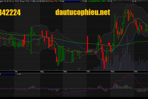 Đồ thị HDC giữa phiên ngày 21/12/2015