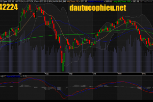 Đồ thị VN-Index ngày 16/12/2015.