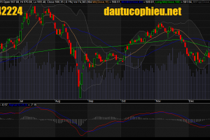 Đồ thị VN-Index ngày 22/12/2015