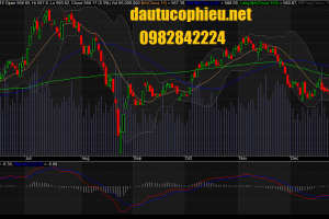 Đồ thị VN-Index ngày 24/12/2015.