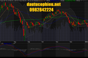 Đồ thị VN-Index ngày 12/01/2016