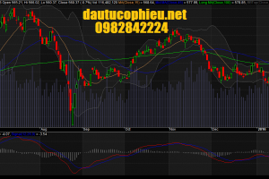 Đồ thị VN-Index ngày 13/01/2016.