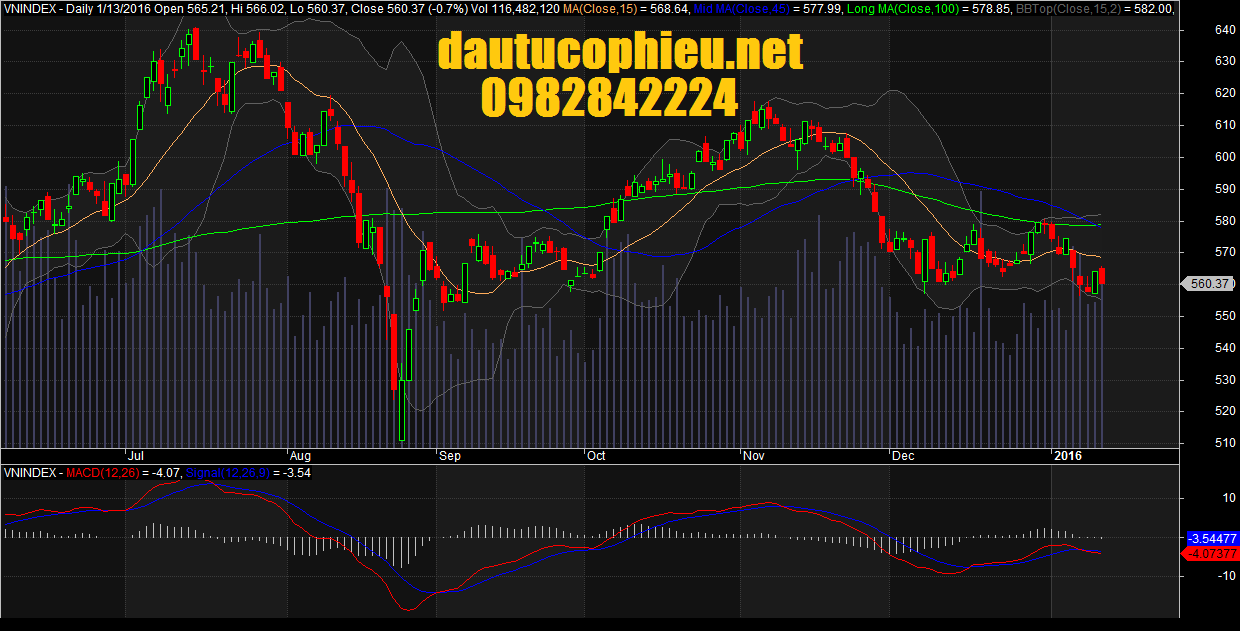 Đồ thị VN-Index ngày 13/01/2016.