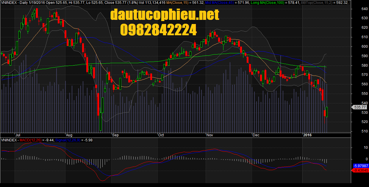 Đồ thị VN-Index ngày 19/01/2016