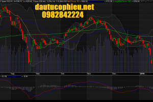 Đồ thị VN-Index ngày 20/01/2016.