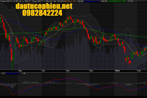 Đồ thị VN-Index ngày 22/02/2016