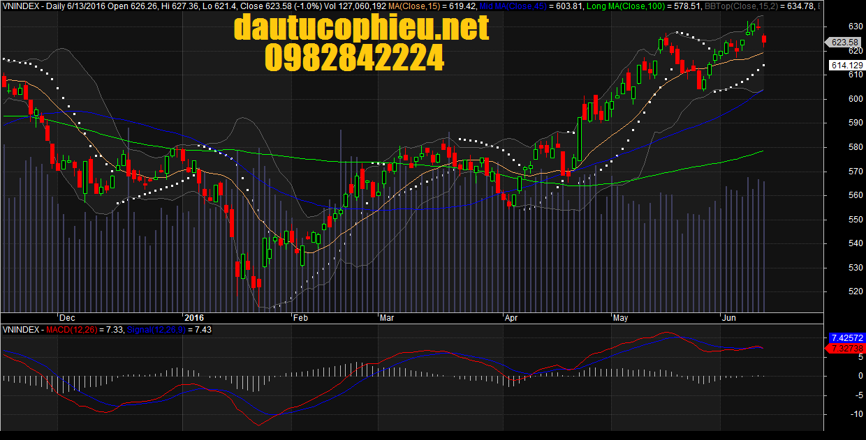 Đồ thị VN-Index ngày 13/06/2016
