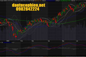 Đồ thị VN-Index ngày 21/06/2016