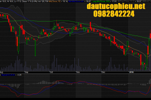 Đồ thị PGS giữa phiên giao dịch ngày 29/01/2016