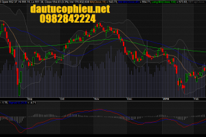 Đồ thị VN-Index ngày 19/02/2016.