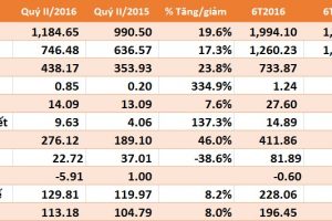 NTP: 6 tháng lãi trước thuế 228 tỷ đồng, hoàn thành 55% kế hoạch năm