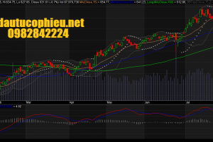 Đồ thị VN-Index ngày 03/08/2016. Nguồn: Amibroker