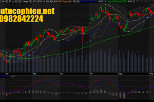 đồ thị VN-Index ngày 20092016