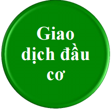 giao dịch đầu cơ