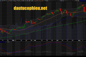 Đồ thị VN-Index phiên giao dịch ngày 29/08/2017. Nguồn: AmiBroker