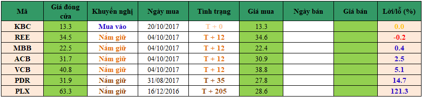 Danh mục đầu tư dm2010