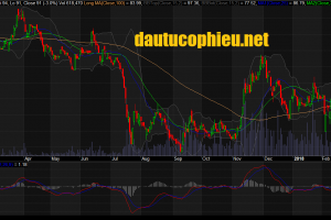 Cập nhật cổ phiếu BMP - Giá tham chiếu phiên đấu giá bán cổ phần tại BMP là 96.500đ/cp