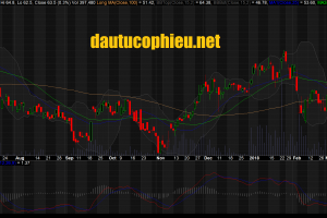 Cập nhật cổ phiếu VHC - Vĩnh Hoàn sẽ được hưởng mức thuế chống bán phá giá 0% tại thị trường Mỹ.