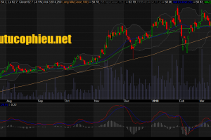 Cập nhật cổ phiếu FPT - Kế hoạch tăng trưởng mạnh sau khi tái cơ cấu