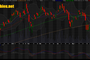 Đồ thị cổ phiếu FPT phiên giao dịch ngày 20/06/2018. Nguồn: AmiBroker