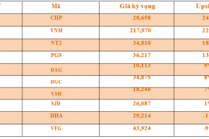 Danh mục cơ bản