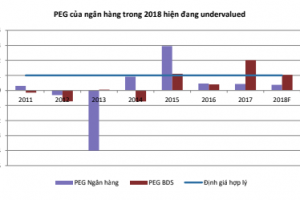 PE ngan hang