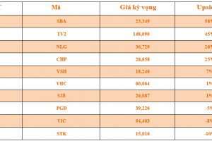 Danh mục cơ bản