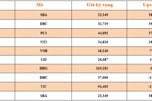 Danh mục cơ bản