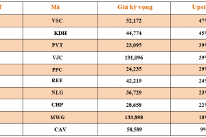 Danh mục cơ bản