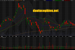 Đồ thị cổ phiếu NLG phiên giao dịch ngày 23/08/2018. Nguồn: AmiBroker