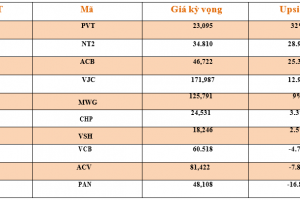 Danh mục cơ bản