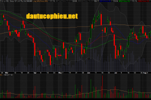 Đồ thị cổ phiếu MWG phiên giao dịch ngày 07/08/2018. Nguồn: AmiBroker