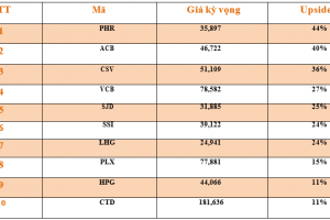 Danh mục cơ bản
