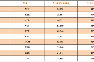 Danh mục cơ bản