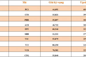 Danh mục cơ bản