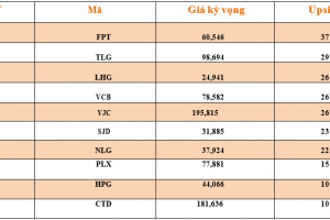 Danh mục cơ bản