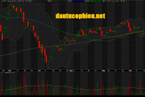 Đồ thị cổ phiếu DXG phiên giao dịch ngày 24/10/2018. Nguồn: AmiBroker