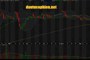 Đồ thị cổ phiếu VIC phiên giao dịch ngày 08/10/2018. Nguồn: AmiBroker