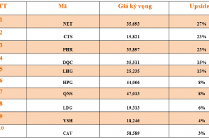 Danh mục cơ bản