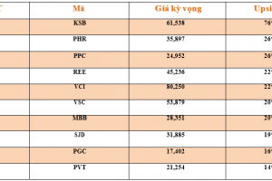 Danh mục cơ bản