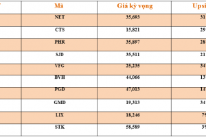 Danh mục cơ bản