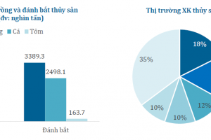 Ngành thủy sản và khuyến nghị VHC