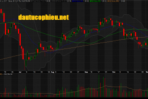 Chúng tôi đưa ra báo cáo lần đầu cho Công ty CP Digiworld (Cổ phiếu DGW) với khuyến nghị OUTPERFORM và mức giá mục tiêu trong năm là 35.300VND/CP (lợi nhuận kỳ vọng là 39%)