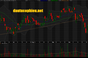 Đồ thị cổ phiếu NLG phiên giao dịch ngày 13/11/2018. Nguồn: AmiBroker