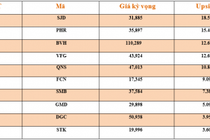 Danh mục cơ bản