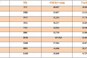 Danh mục cơ bản
