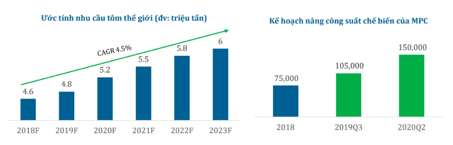 Cập nhật cổ phiếu MPC