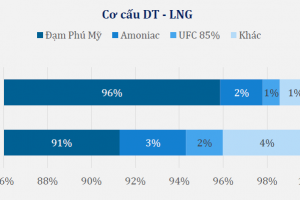 Ngành phân bón vô cơ Việt Nam